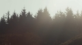hinterland