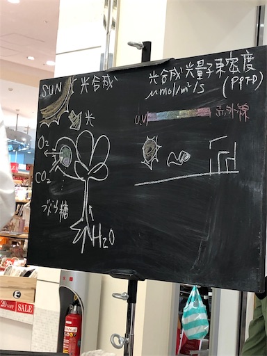 f:id:machicoo_utsuwa:20190718201046j:image