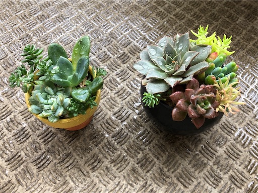 f:id:machicoo_utsuwa:20190718201833j:image