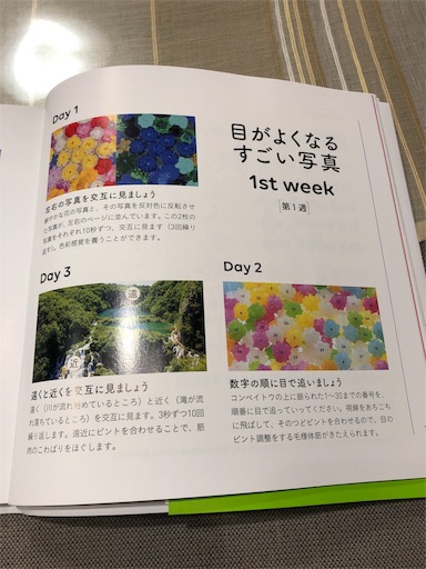 f:id:machicoo_utsuwa:20190726081126j:image
