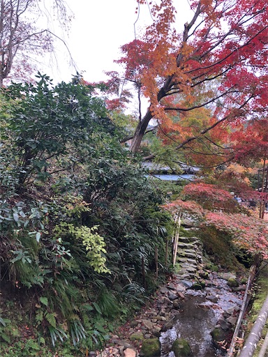 f:id:machicoo_utsuwa:20191126080436j:image f:id:machicoo_utsuwa:20191126080436j:image