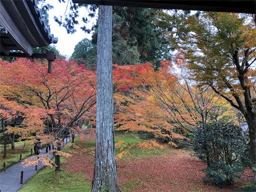 f:id:machicoo_utsuwa:20191126081452j:image f:id:machicoo_utsuwa:20191126081452j:image