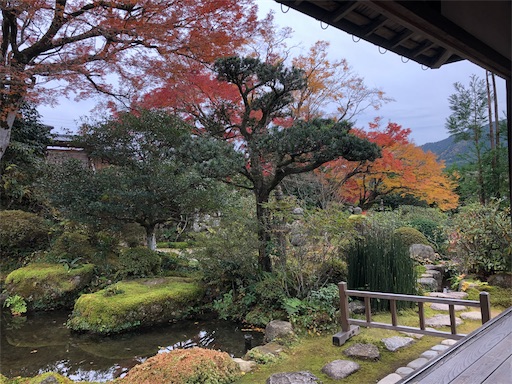 f:id:machicoo_utsuwa:20191126083851j:image f:id:machicoo_utsuwa:20191126083851j:image