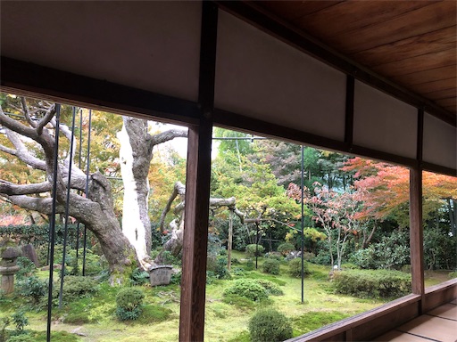 f:id:machicoo_utsuwa:20191126084727j:image f:id:machicoo_utsuwa:20191126084727j:image