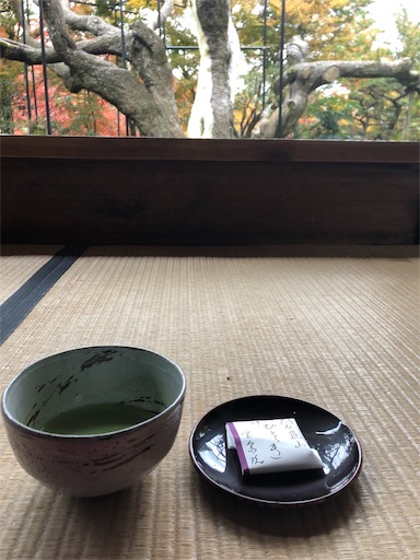 f:id:machicoo_utsuwa:20191126084731j:image f:id:machicoo_utsuwa:20191126084731j:image
