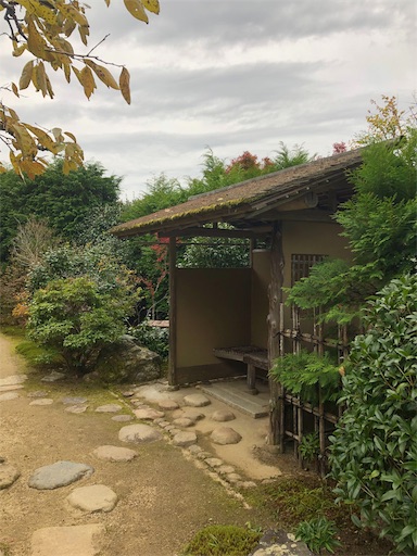 f:id:machicoo_utsuwa:20191126214536j:image f:id:machicoo_utsuwa:20191126214536j:image