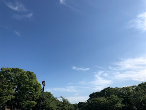 f:id:machicoo_utsuwa:20230702163043j:image