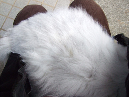 f:id:machida77:20090228131250j:image