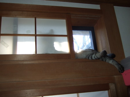 f:id:machida77:20121208131602j:image