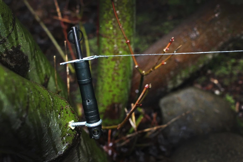 f:id:machida77:20210206205822p:plain:w600