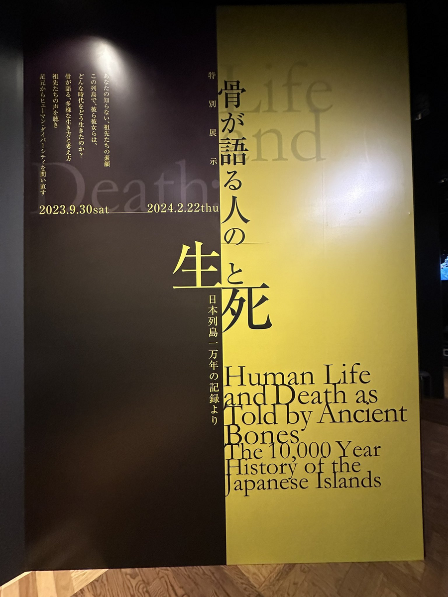 東京大学総合研究博物館「骨が語る人の「生と死」 日本列島一万年の