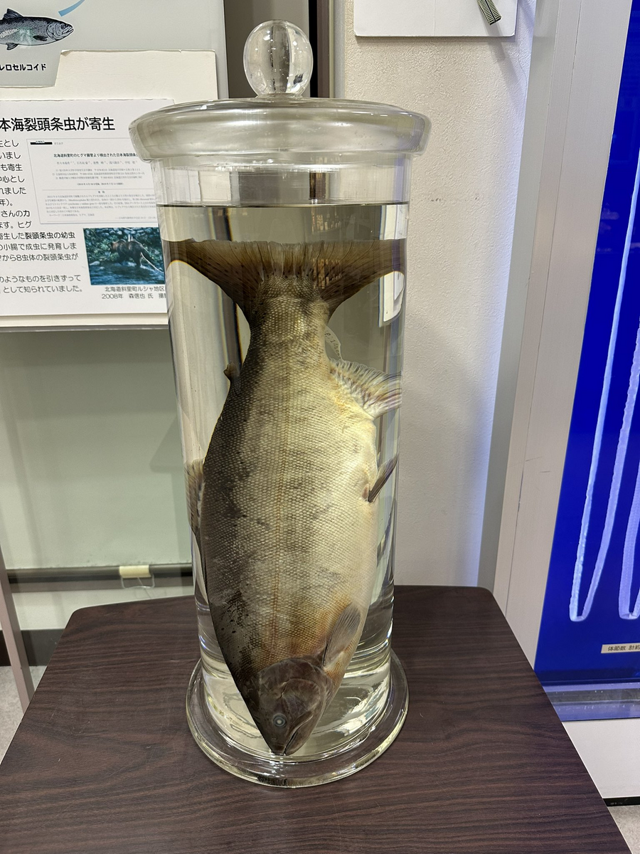 目黒 寄生 虫 館