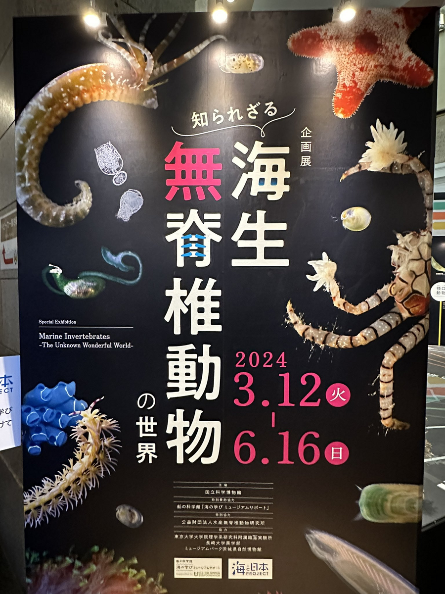 国立科学博物館「大哺乳類展3」「知られざる海生無脊椎動物の