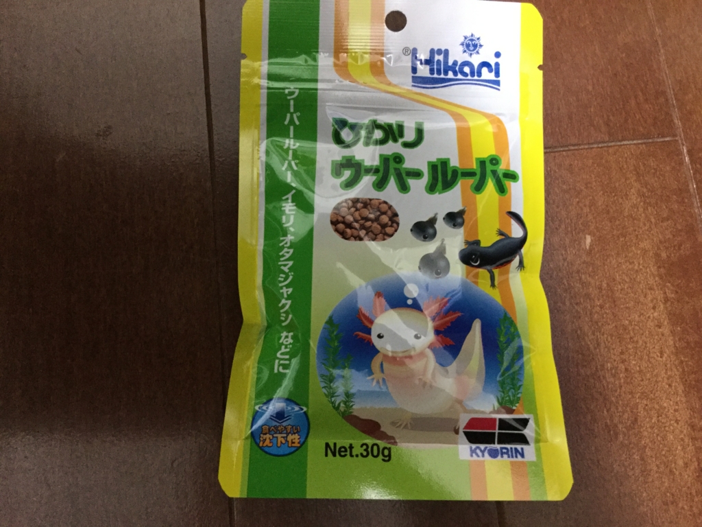 ちまめの飼育部屋