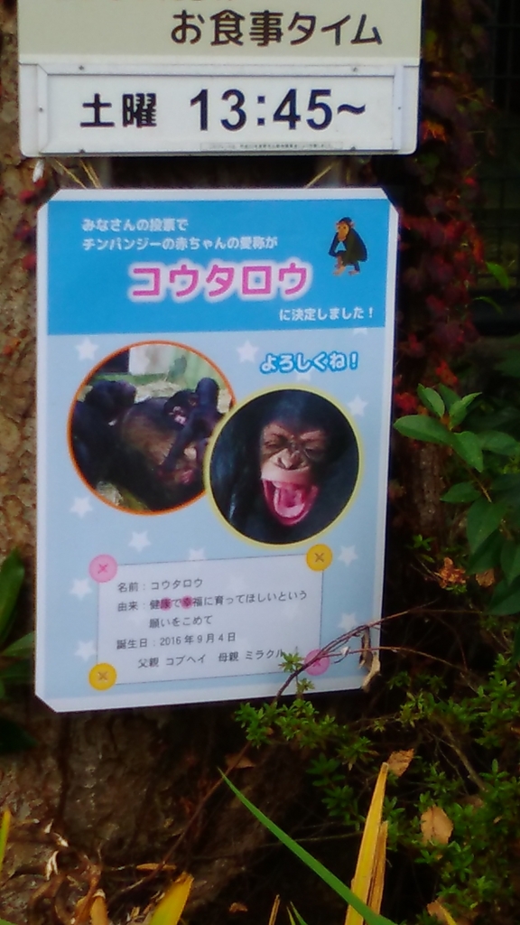 f:id:machidacustom2015:20161130123108j:plain