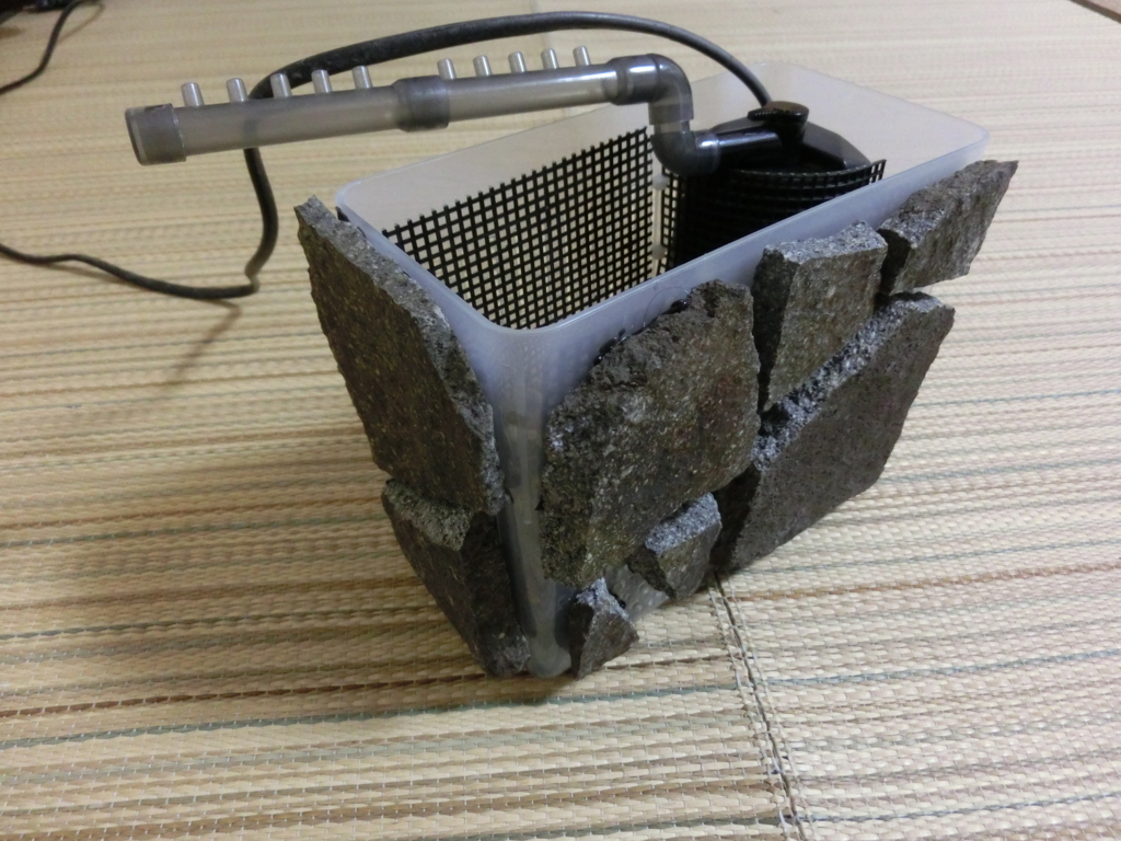 ｇｅｘカメ元気フィルター改良 アマミシリケンイモリ水槽に設置 ちまめの飼育部屋