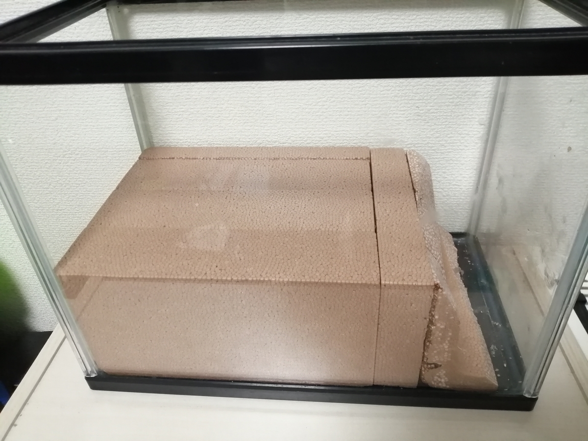 イモリウム　ワンだふるる♬ イモリウム、完成致しました。 - ちまめの飼育部屋