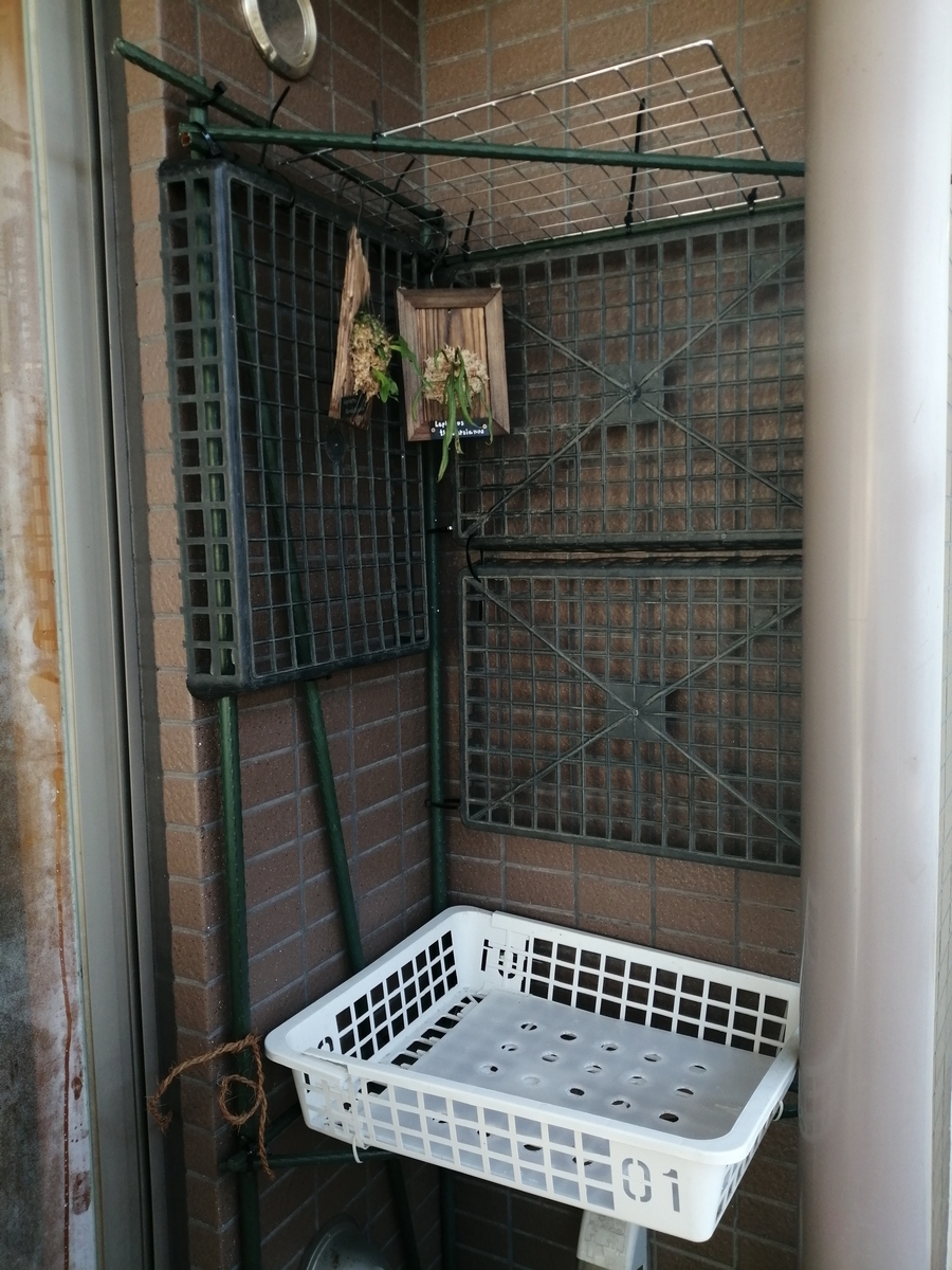 ベランダにエアプランツ置き場を作りました ちまめの飼育部屋