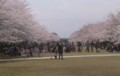 20160328213928