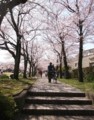 20160401123846
