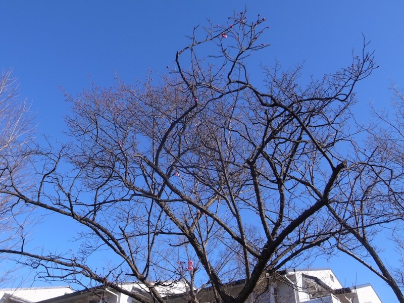 20170112093121