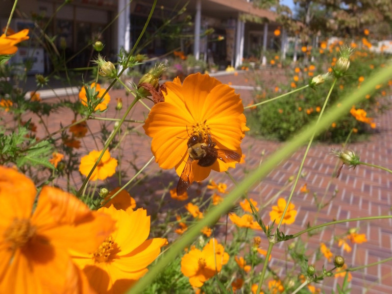 f:id:machidesign:20170914131524j:image:w360