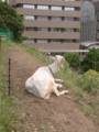 20180512213746