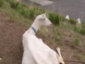 20180512213806
