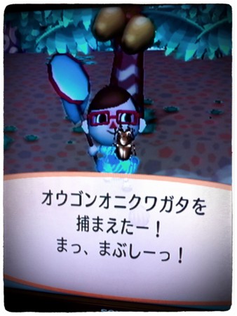 f:id:machidori:20120829110505j:image f:id:machidori:20120829110505j:image