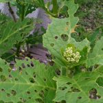 f:id:machienpro13:20180521235826j:plain f:id:machienpro13:20180521235826j:plain