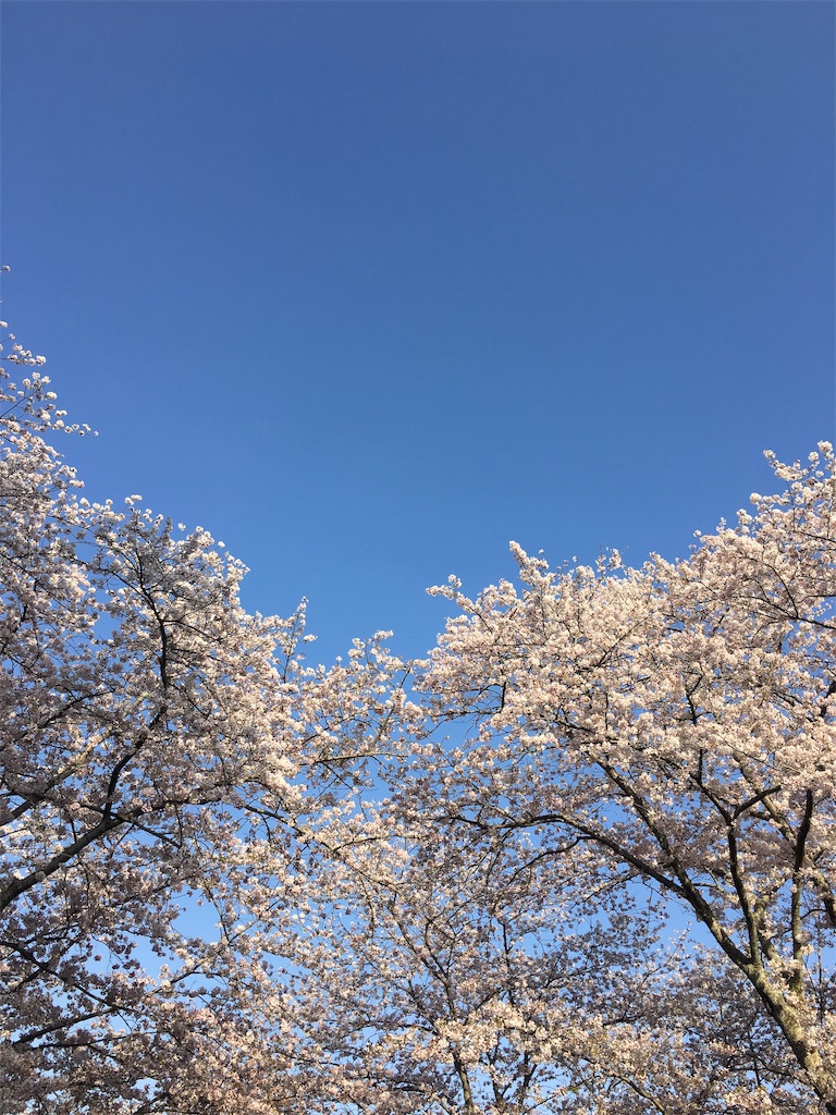 f:id:machierie_chouchou:20190101004546j:image f:id:machierie_chouchou:20190101004546j:image