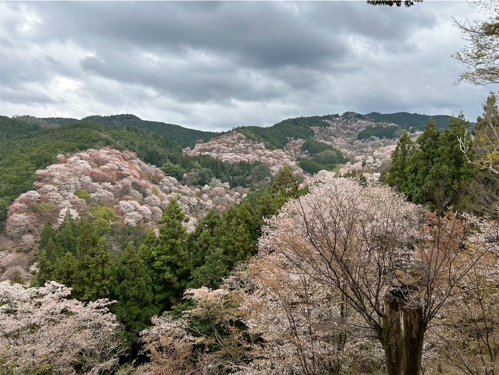 f:id:machigontan:20260406214807j:image