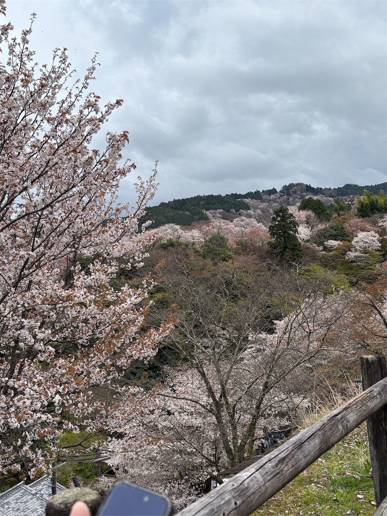 f:id:machigontan:20260406214836j:image