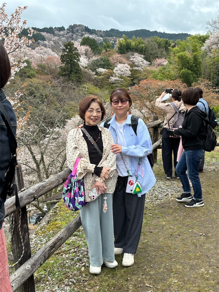 f:id:machigontan:20260407104651j:image
