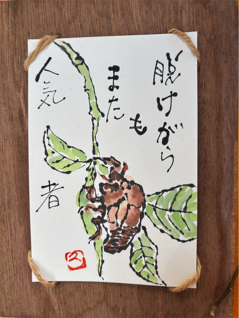 f:id:machigontan:20260813160459j:image f:id:machigontan:20260813160459j:image