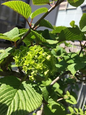 f:id:machiko-e-stainedglass:20200415073314j:plain