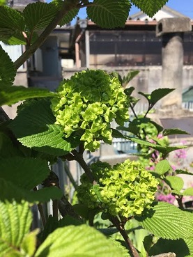 f:id:machiko-e-stainedglass:20200415073327j:plain