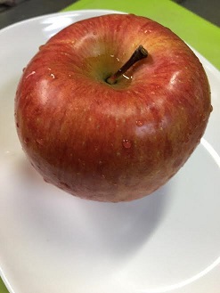 f:id:machiko-e-stainedglass:20200419071344j:plain f:id:machiko-e-stainedglass:20200419071344j:plain