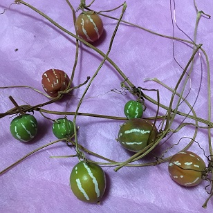 f:id:machiko-e-stainedglass:20200429073042j:plain f:id:machiko-e-stainedglass:20200429073042j:plain