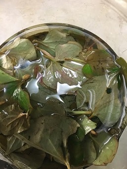 f:id:machiko-e-stainedglass:20200605072548j:plain