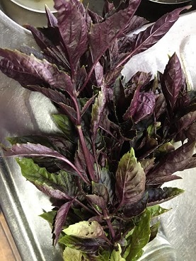 f:id:machiko-e-stainedglass:20201017074814j:plain f:id:machiko-e-stainedglass:20201017074814j:plain