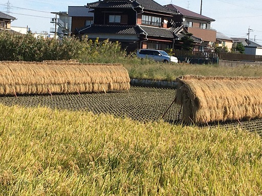 f:id:machiko-e-stainedglass:20201202072942j:plain