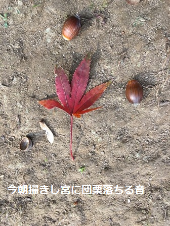 f:id:machiko-e-stainedglass:20201216072922j:plain