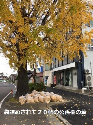 f:id:machiko-e-stainedglass:20201216073004j:plain