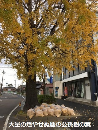 f:id:machiko-e-stainedglass:20201216073017j:plain