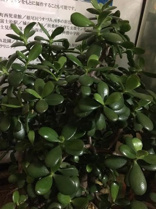 f:id:machiko-e-stainedglass:20201227072327j:plain