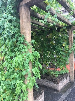 f:id:machiko-e-stainedglass:20210804072223j:plain