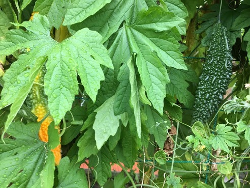 f:id:machiko-e-stainedglass:20210804072256j:plain