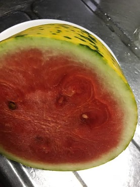 f:id:machiko-e-stainedglass:20210815072437j:plain