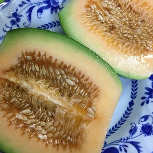 f:id:machiko-e-stainedglass:20210815072510j:plain